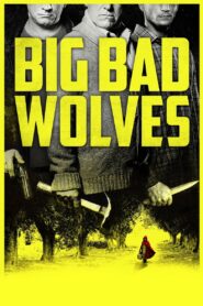 Big Bad Wolves 2013 one on netflix