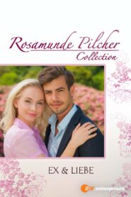 Rosamunde Pilcher: Ex und Liebe 2016 one on netflix