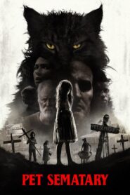 Pet Sematary 2019 one on netflix