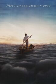 Pink Floyd: The Endless River 2014 one on netflix