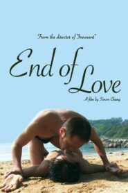 End of Love 2008 one on netflix