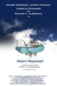 Heavy Pregnant 2003 one on netflix