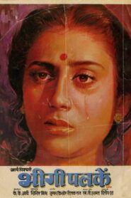 Bheegi Palkein 1982 one on netflix