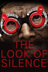 The Look of Silence 2014 one on netflix