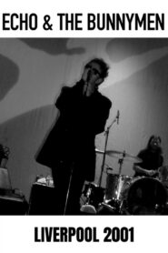 Echo And The Bunnymen: Live in Liverpool 2001 one on netflix