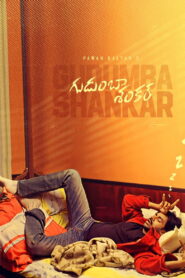 Gudumba Shankar 2004 one on netflix
