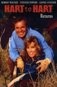 Hart to Hart Returns 1993 one on netflix