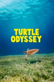 Turtle Odyssey 2018 one on netflix