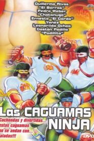 Las caguamas ninja 1991 one on netflix
