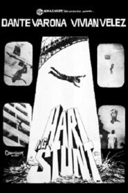 Hari Ng Stunt 1981 one on netflix