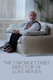 The Unforgettable Director of Love Movies 1990 one on netflix