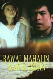 Bawal Mahalin, Bawal Ibigin 1997 one on netflix