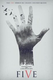 Five: Find Your Limit 2016 one on netflix