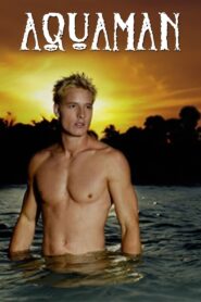 Aquaman 2006 one on netflix