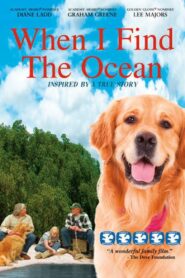 When I Find the Ocean 2006 one on netflix
