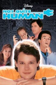 Not Quite Human 1987 one on netflix