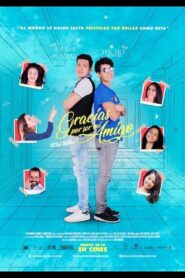 My Best Gift 2013 one on netflix