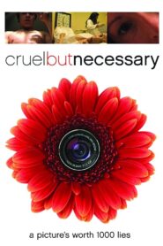 Cruel But Necessary 2005 one on netflix