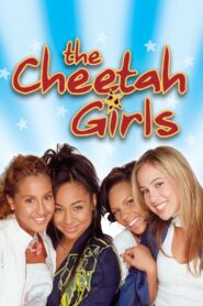 The Cheetah Girls 2003 one on netflix