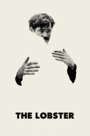 The Lobster 2015 one on netflix