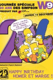20 years of Simpsons 2009 one on netflix