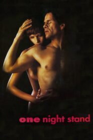 One Night Stand 1995 one on netflix