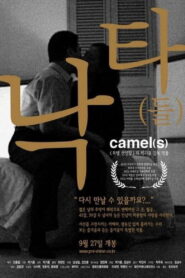 Camel(s) 2002 one on netflix