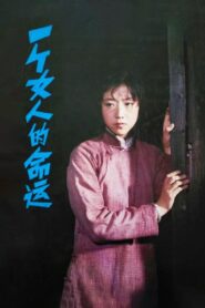 一个女人的命运 1984 one on netflix