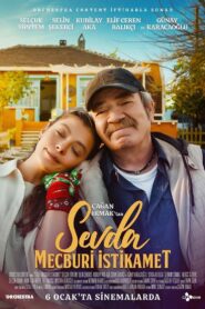 Sevda: Mandatory Direction 2023 one on netflix
