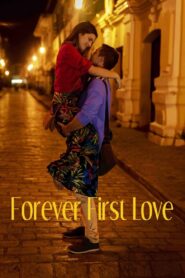Forever First Love 2020 one on netflix