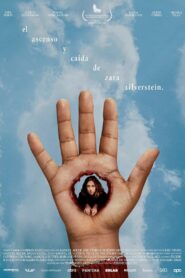 The Rise and Fall of Zara Zilverstein 2024 one on netflix