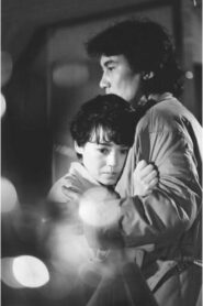 Megumi no Sekai 1990 one on netflix