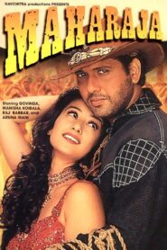 Maharaja 1998 one on netflix