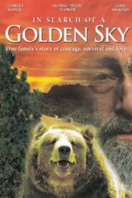 In Search of a Golden Sky 1984 one on netflix