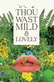 Thou Wast Mild and Lovely 2014 one on netflix