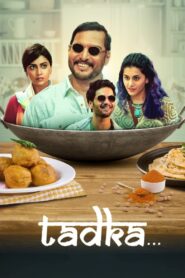 Tadka 2022 one on netflix