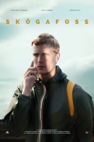 Skógafoss 2017 one on netflix