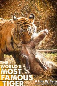 The World’s Most Famous Tiger 2017 one on netflix