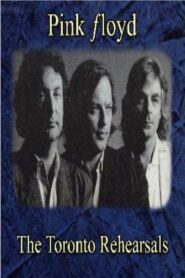 Pink Floyd: Hangar Rehearsals 1987 one on netflix