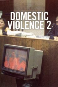 Domestic Violence 2 2002 one on netflix