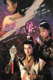 The Lady Assassin 1991 one on netflix