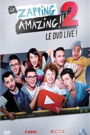 Le Zapping Amazing 2 2013 one on netflix