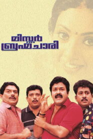 Mr. Brahmachari 2003 one on netflix
