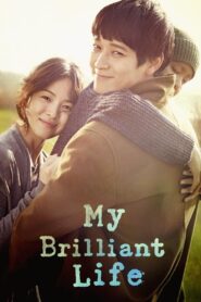 My Brilliant Life 2014 one on netflix