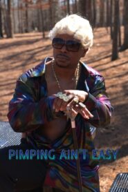 Pimpin Ain’t Easy 2020 one on netflix