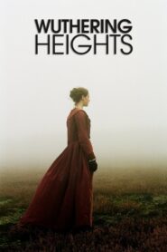 Wuthering Heights 2011 one on netflix