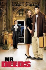 Mr. Deeds 2002 one on netflix