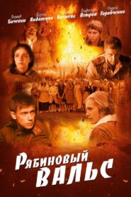 Ashberry Waltz 2010 one on netflix