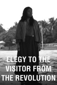 Elegy to the Visitor from the Revolution 2011 one on netflix