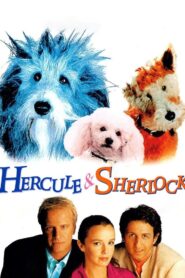Hercule and Sherlock 1996 one on netflix